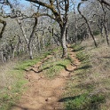 DSC05664