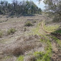 DSC05666