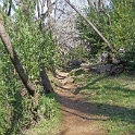 DSC05667