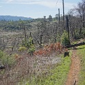 DSC05670
