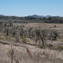 DSC05674