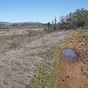 DSC05675