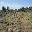 DSC05683