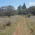 DSC05687
