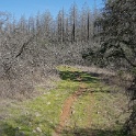 DSC05689