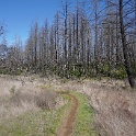 DSC05690