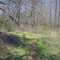 DSC05694