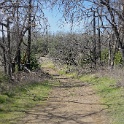 DSC05696