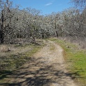 DSC05698