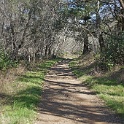 DSC05703