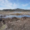 DSC05706
