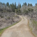 DSC05707
