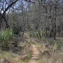 DSC05723