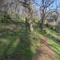 DSC05727