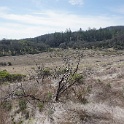 DSC05739