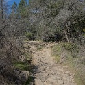 DSC05745