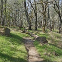 DSC05756
