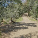 DSC05776