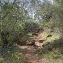 DSC05784