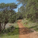 DSC05788