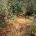DSC05794