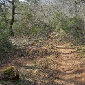 DSC05796