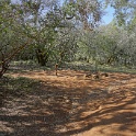 DSC05798