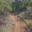 DSC05802