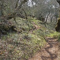 DSC05803