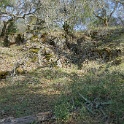DSC05808