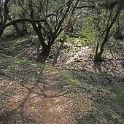 DSC05811
