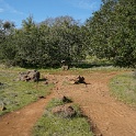 DSC05817