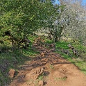 DSC05821