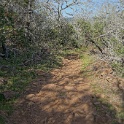 DSC05831