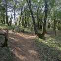 DSC05835