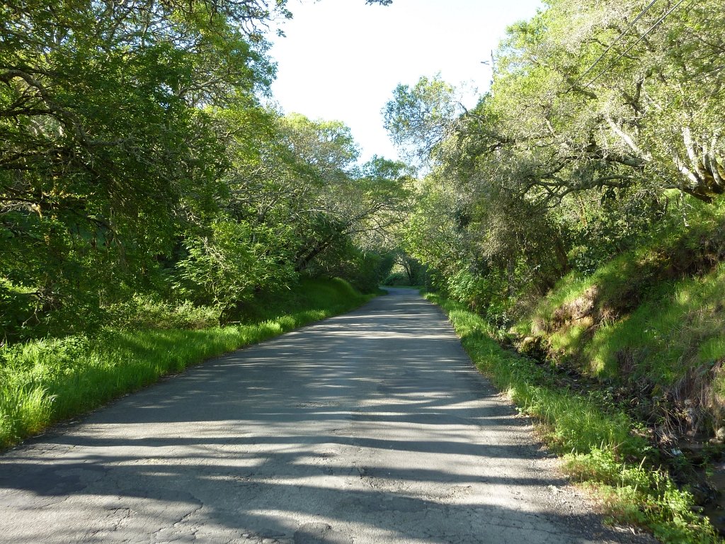 P1050035
