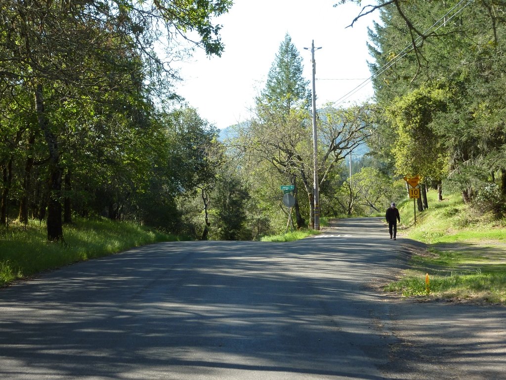 P1050037