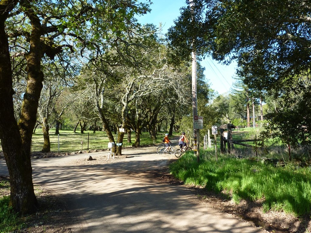 P1050041