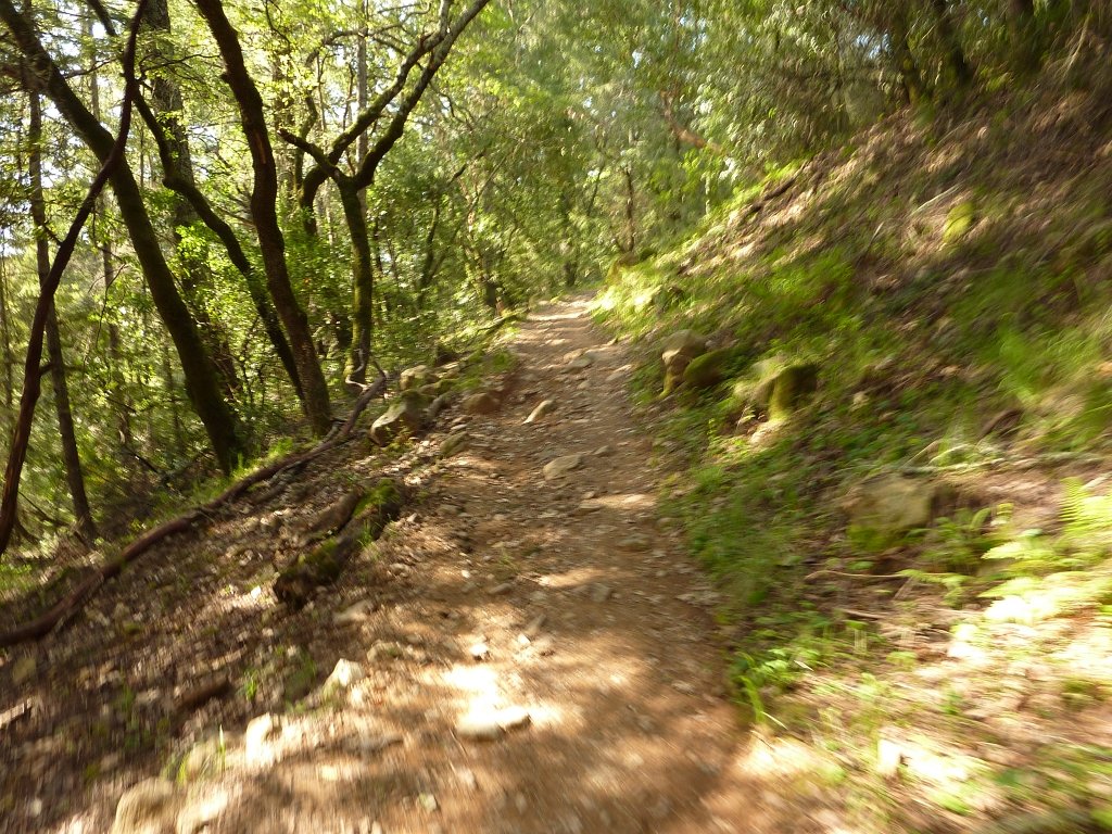 P1050046