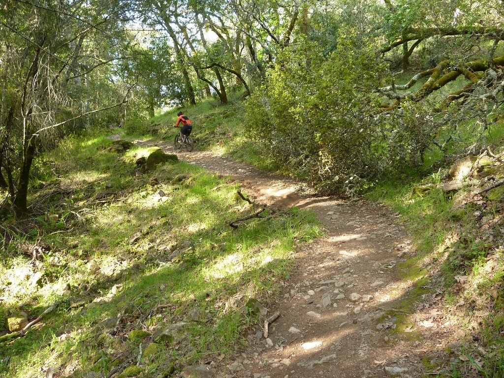 P1050047