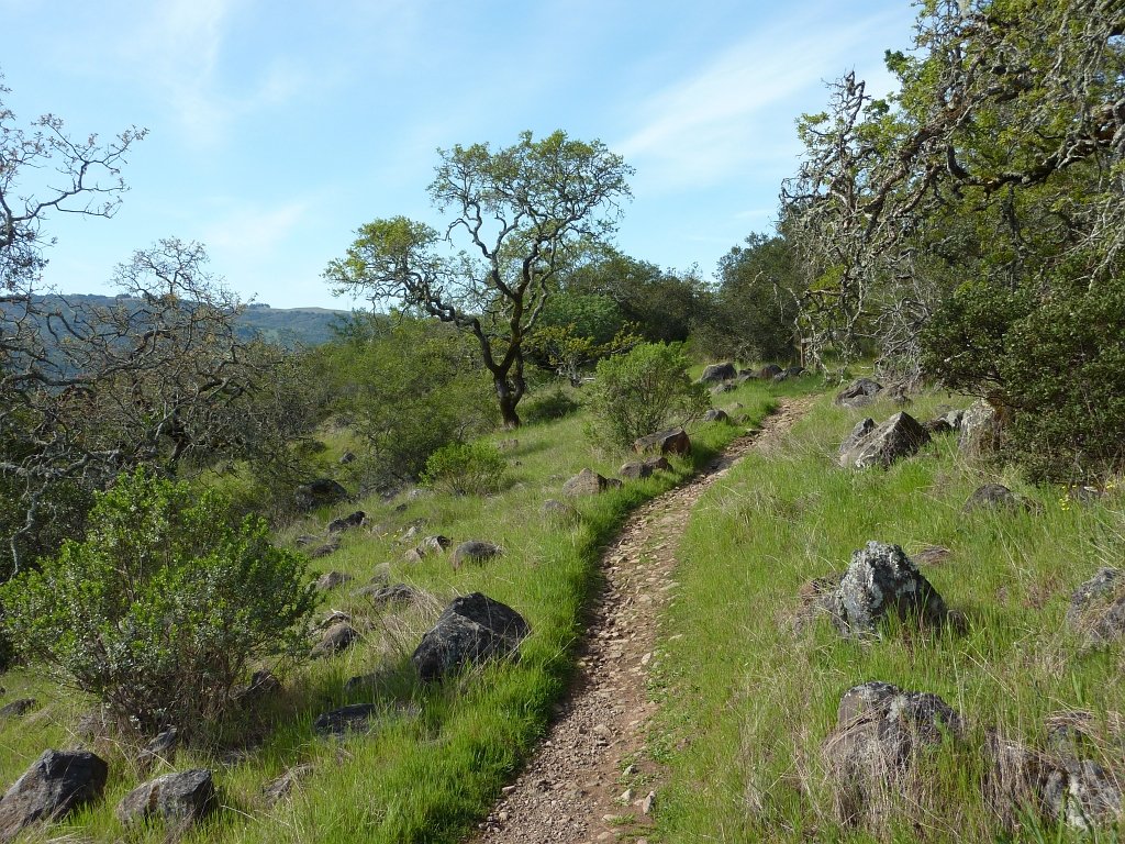 P1050049