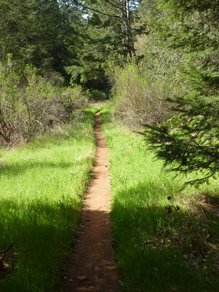 P1050057