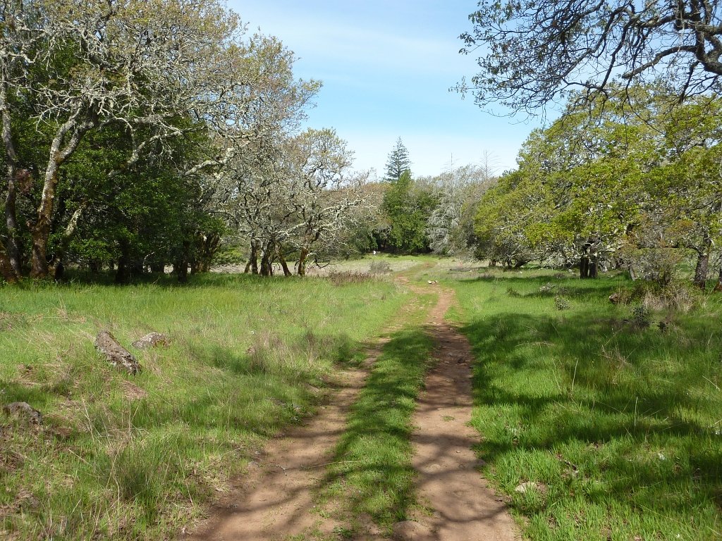 P1050063