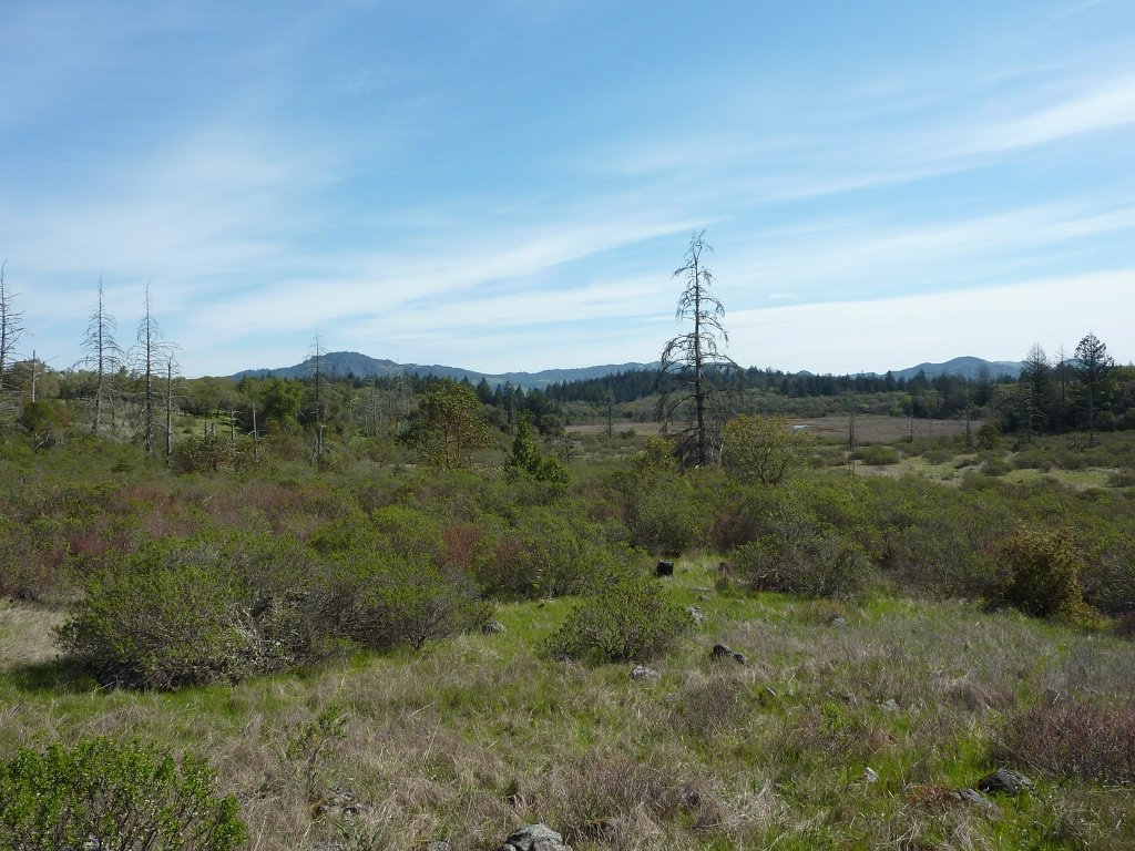 P1050068