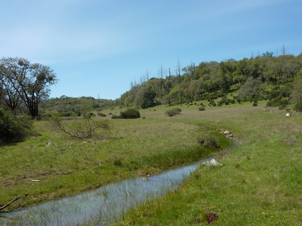 P1050095