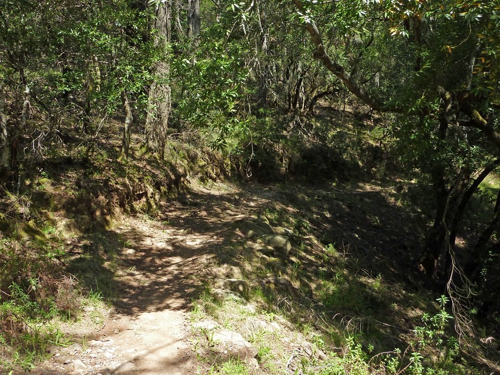 P1050108