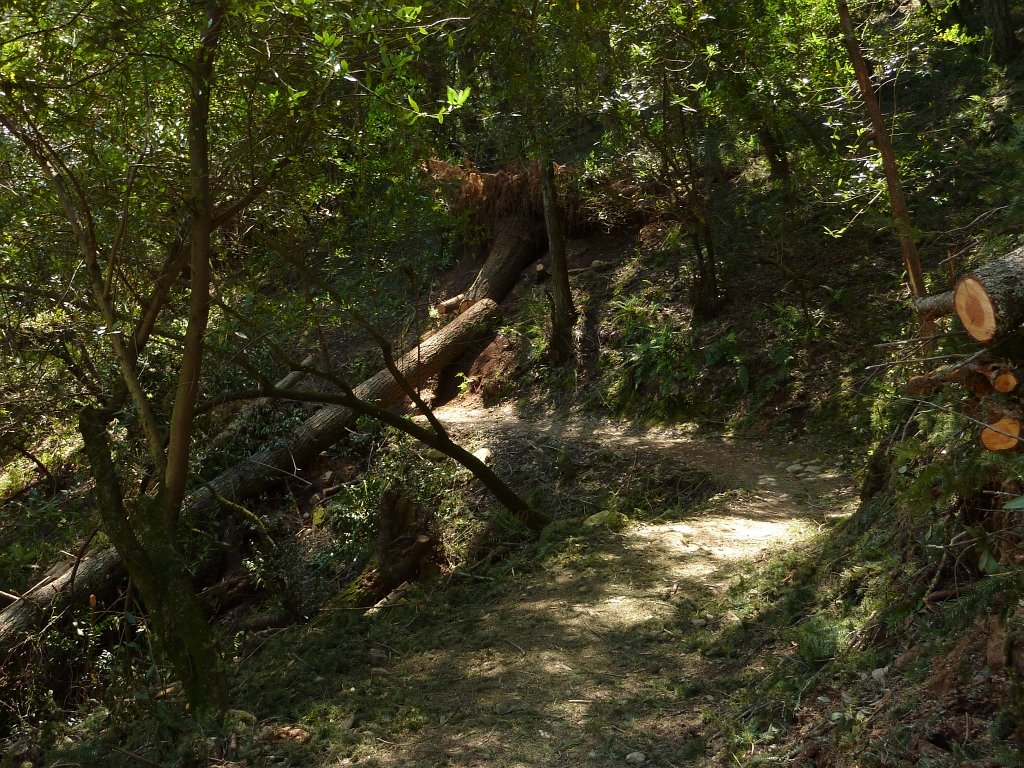 P1050117