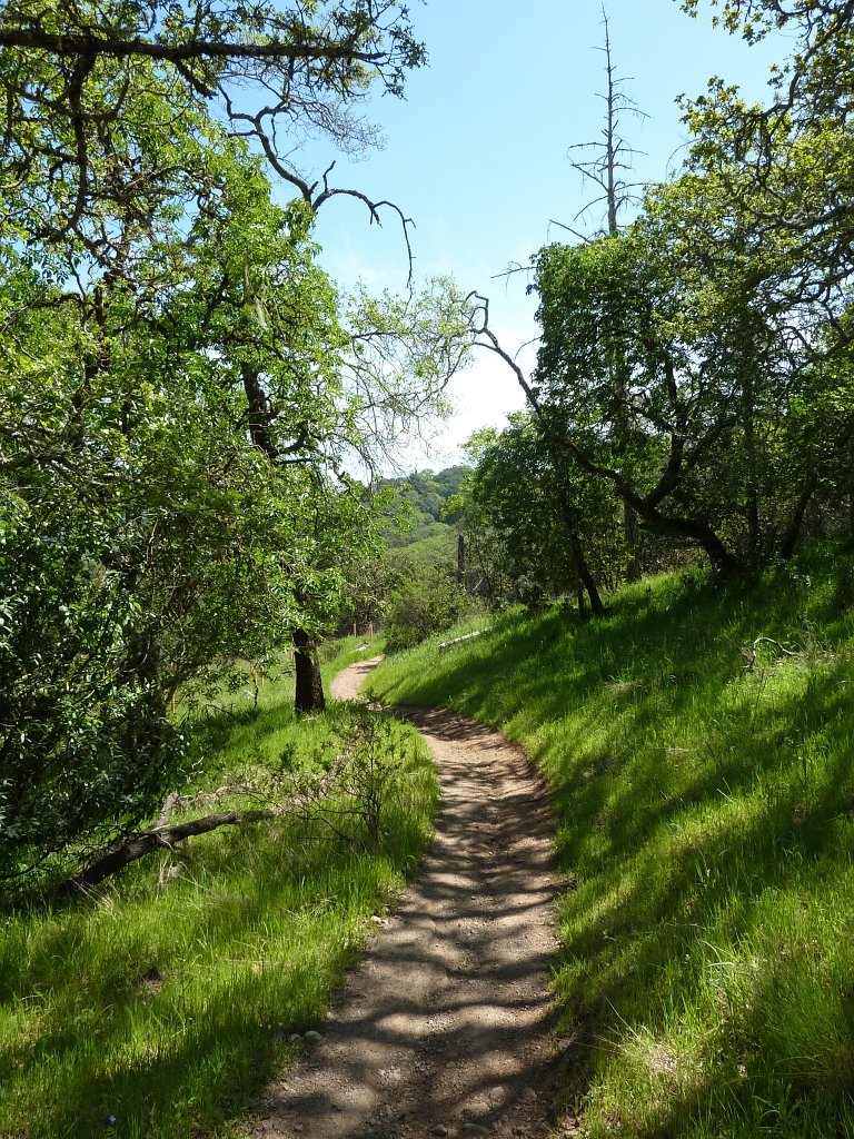 P1050120