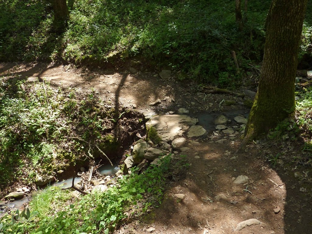 P1050121
