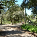 P1050041